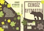 design a book cover in adobe illustrator
